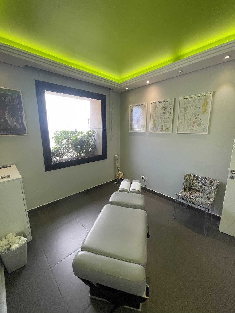 The adjusting room, with the chiropractic table, spine model and anatomy charts